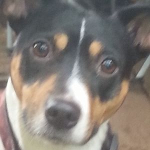 Meet your Posher, Connie